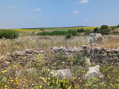 PXL_20250523_121507295.MP.jpg