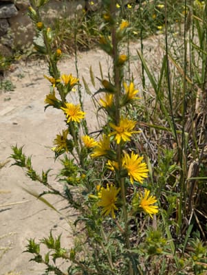 PXL_20250523_121527338.jpg
