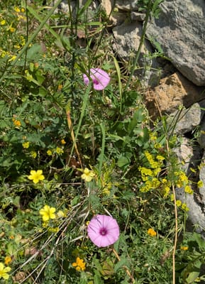 PXL_20250523_122419077.MP.jpg