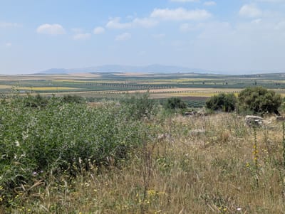 PXL_20250523_122630098.jpg