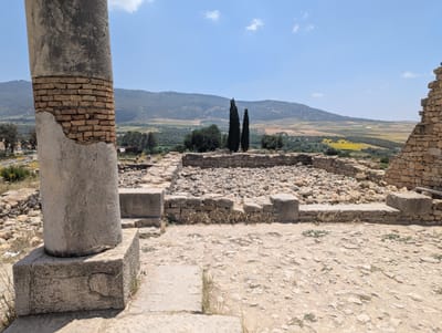 PXL_20250523_123404080.jpg