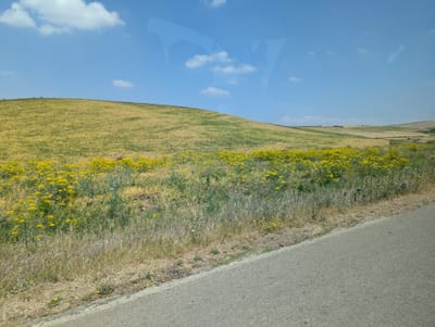 PXL_20250523_131532051.MP.jpg