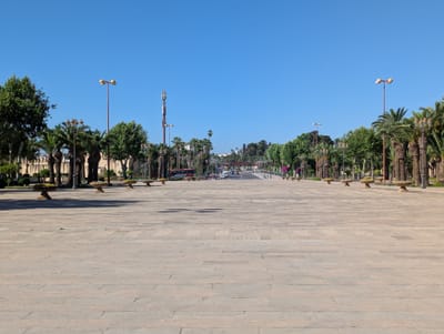 PXL_20250524_083047628.jpg