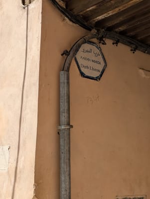 PXL_20250524_085648363.jpg