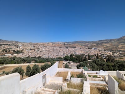 PXL_20250524_093524716.jpg