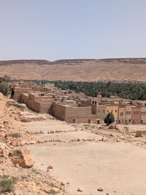 PXL_20250525_142153435.jpg