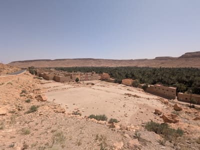PXL_20250525_142214479.jpg