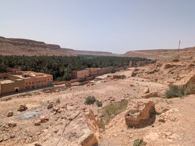 PXL_20250525_142355495.jpg