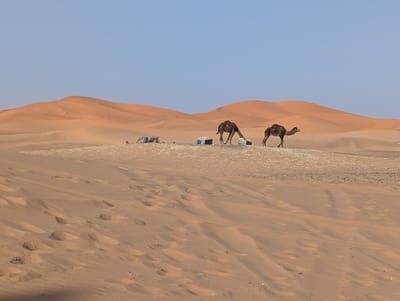 PXL_20250525_172323355.jpg