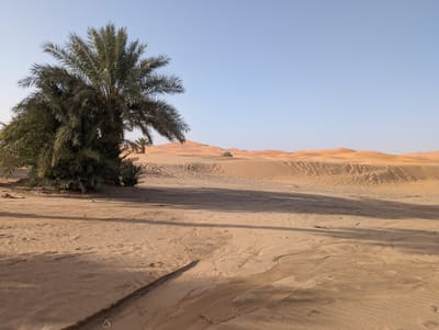 PXL_20250525_172746318.jpg