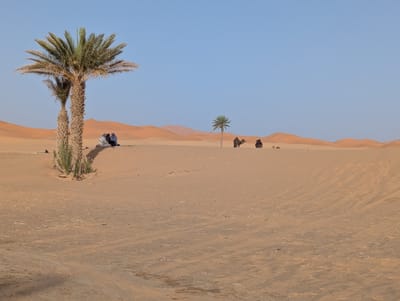 PXL_20250525_172819421.jpg