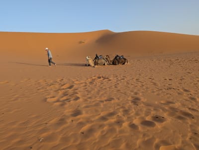 PXL_20250525_182528454.jpg
