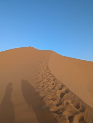 PXL_20250525_182735234.jpg
