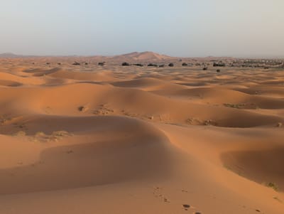 PXL_20250525_182952667.jpg