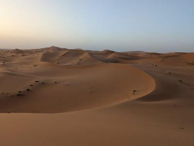 PXL_20250525_184226914.jpg
