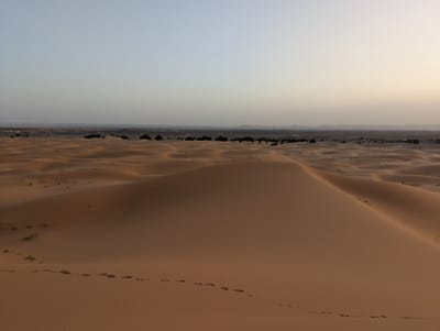PXL_20250525_184235762.jpg