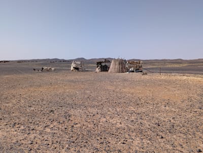 PXL_20250526_084750962.jpg