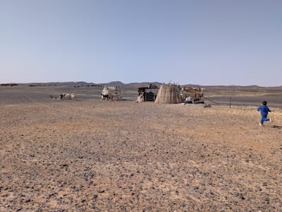 PXL_20250526_084751880.jpg