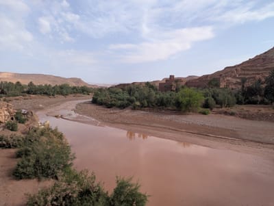 PXL_20250528_082137891.jpg