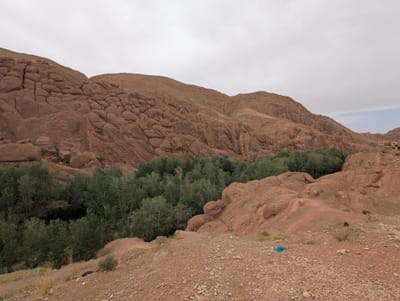 PXL_20250527_083333417.jpg
