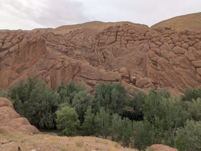 PXL_20250527_083343466.jpg