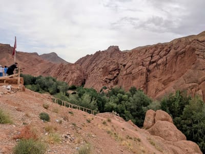 PXL_20250527_083408123.jpg