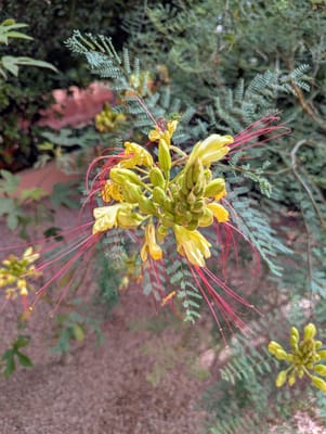 PXL_20250530_085414014.jpg