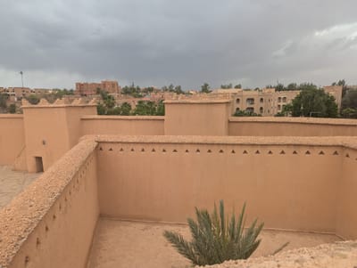 PXL_20250527_134336212.jpg