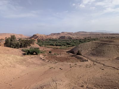 PXL_20250528_075345833.jpg