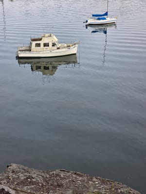 20250708_090652.jpg