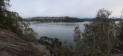 20250708_091401.jpg