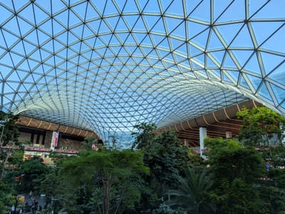 PXL_20250520_025557929.jpg