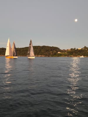 20250312_193447.jpg