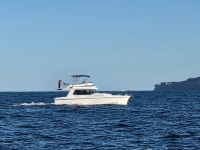 20250620_145700.jpg