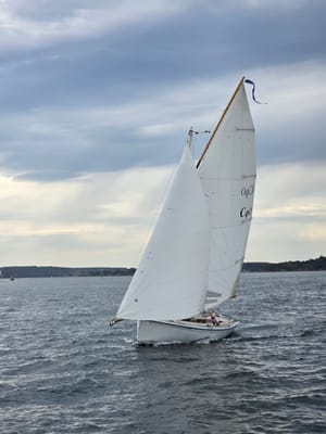 20251017_113724.jpg