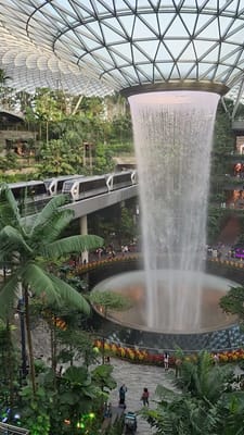 20250116_182603.mp4