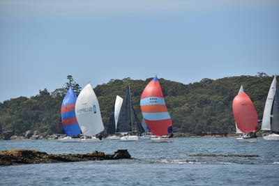 DSC_6917.JPG