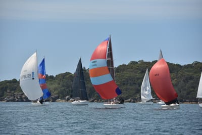 DSC_6918.JPG
