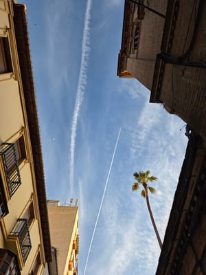 20250602_205338.jpg