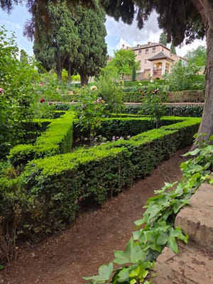 20250603_144140.jpg