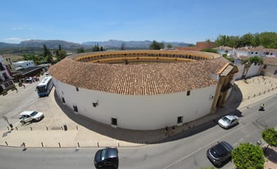 20250605_151610.jpg