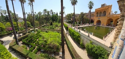 20250607_160555.jpg