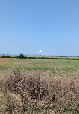 PXL_20250606_132432185.MP.jpg