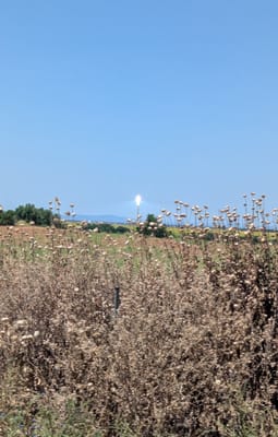 PXL_20250606_132433080.jpg