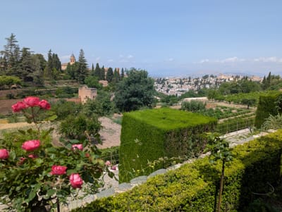 PXL_20250603_101756914.jpg