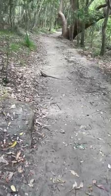 VID-20251008-WA0012.mp4