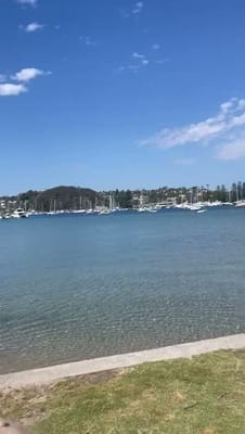 VID-20251008-WA0016.mp4