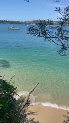 VID-20251008-WA0017.mp4
