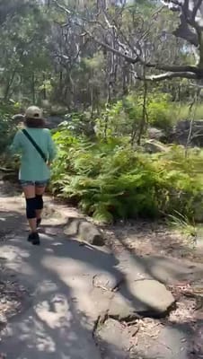 VID-20251008-WA0018.mp4
