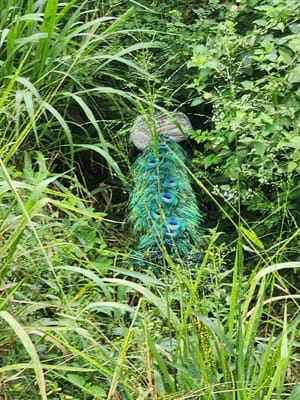 20250104_154821.jpg